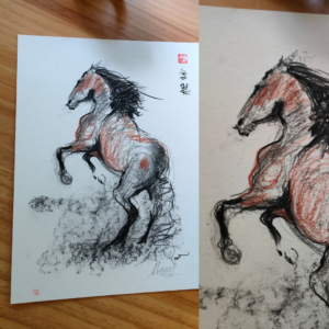Sketch in charcoal and sanguine of a wild horse