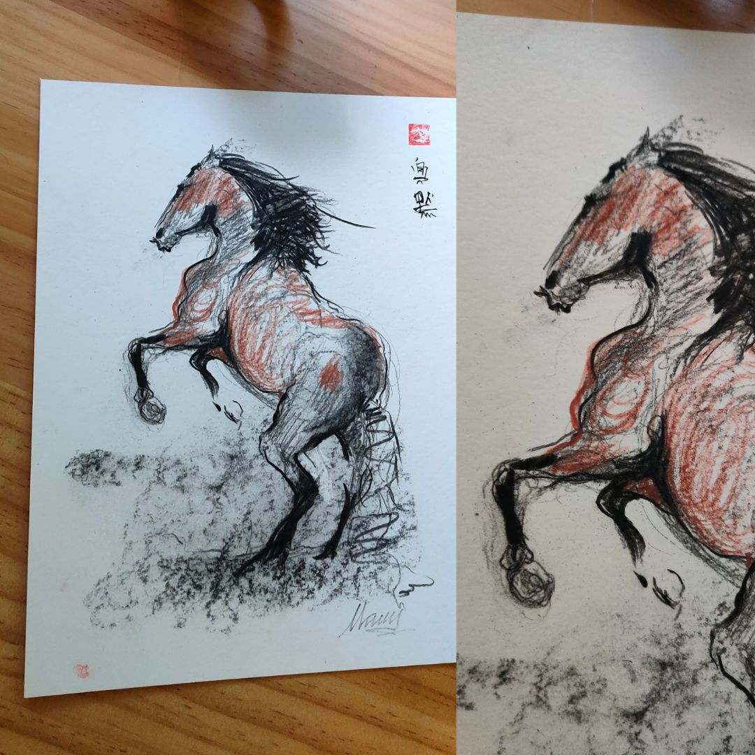 Sketch in charcoal and sanguine of a wild horse