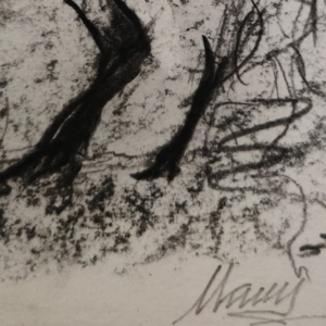 Sketch in charcoal and sanguine of a wild horse