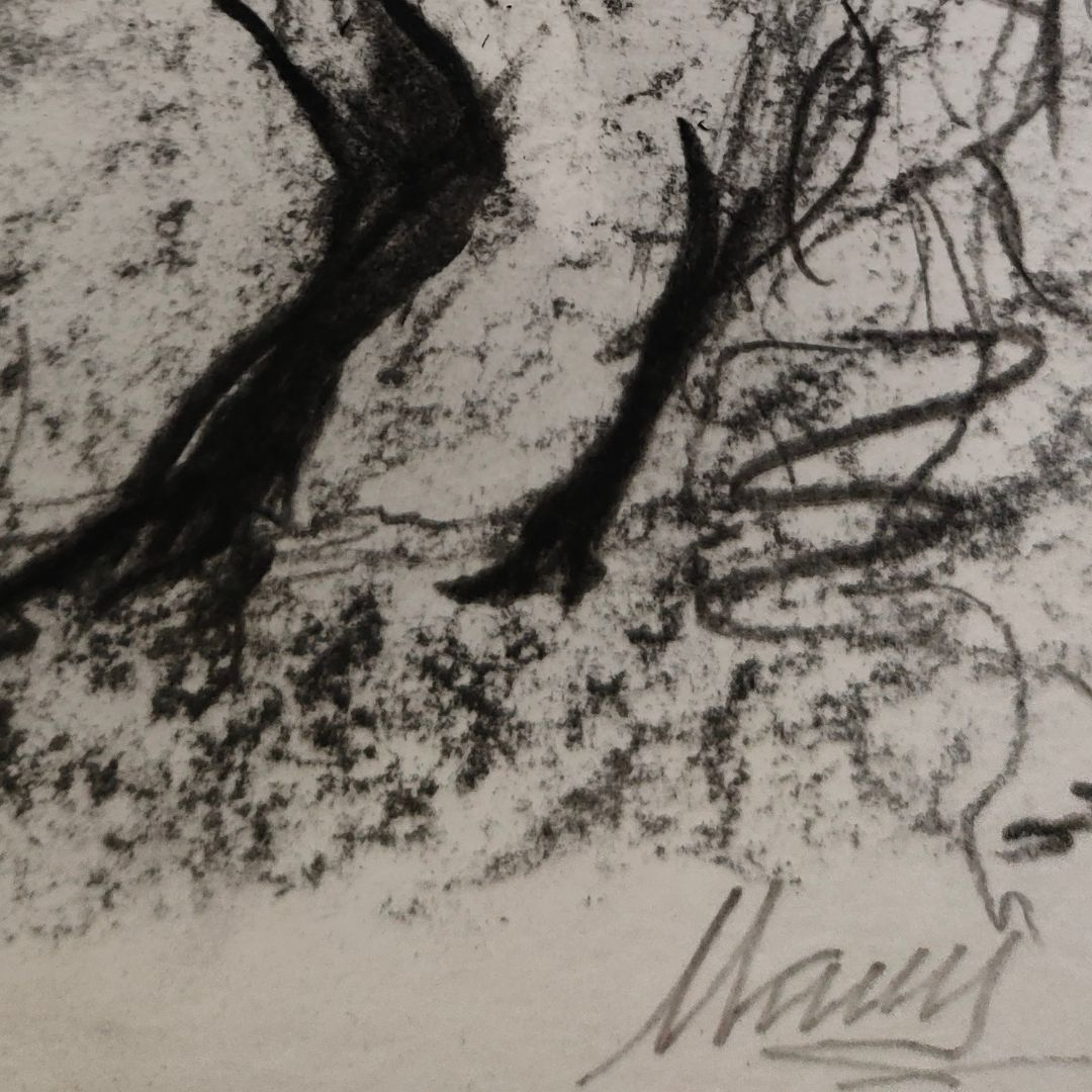 Sketch in charcoal and sanguine of a wild horse