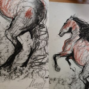 Sketch in charcoal and sanguine of a wild horse