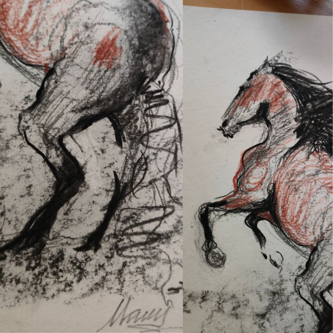 Sketch in charcoal and sanguine of a wild horse