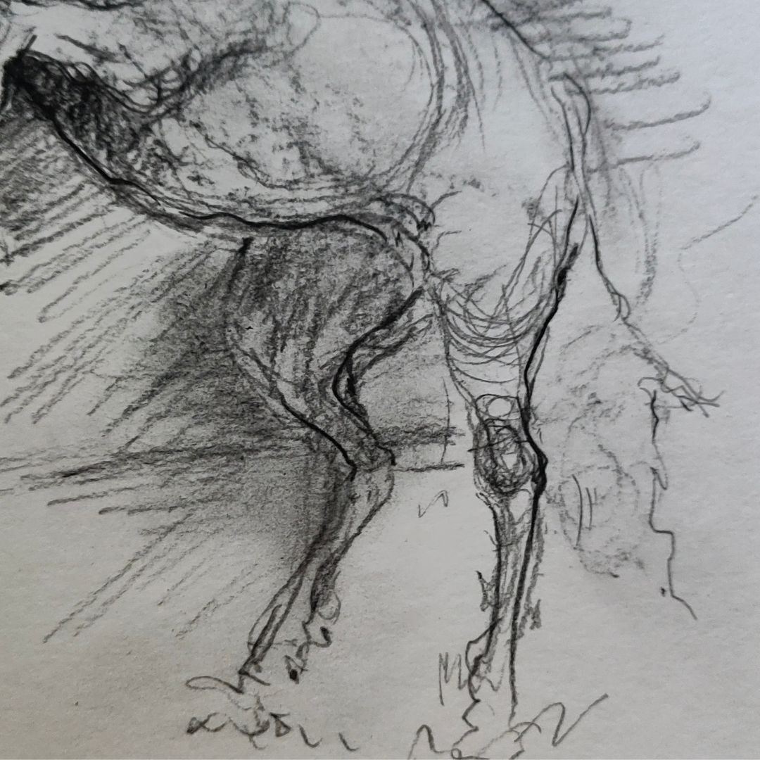 Original Charcoal Sketch of a horse