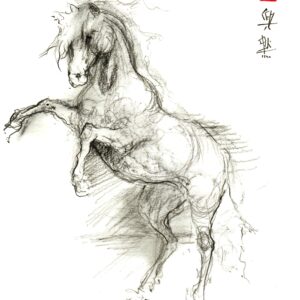 Sketch of a wild horse running 001 9IN x 12IN 300GSM