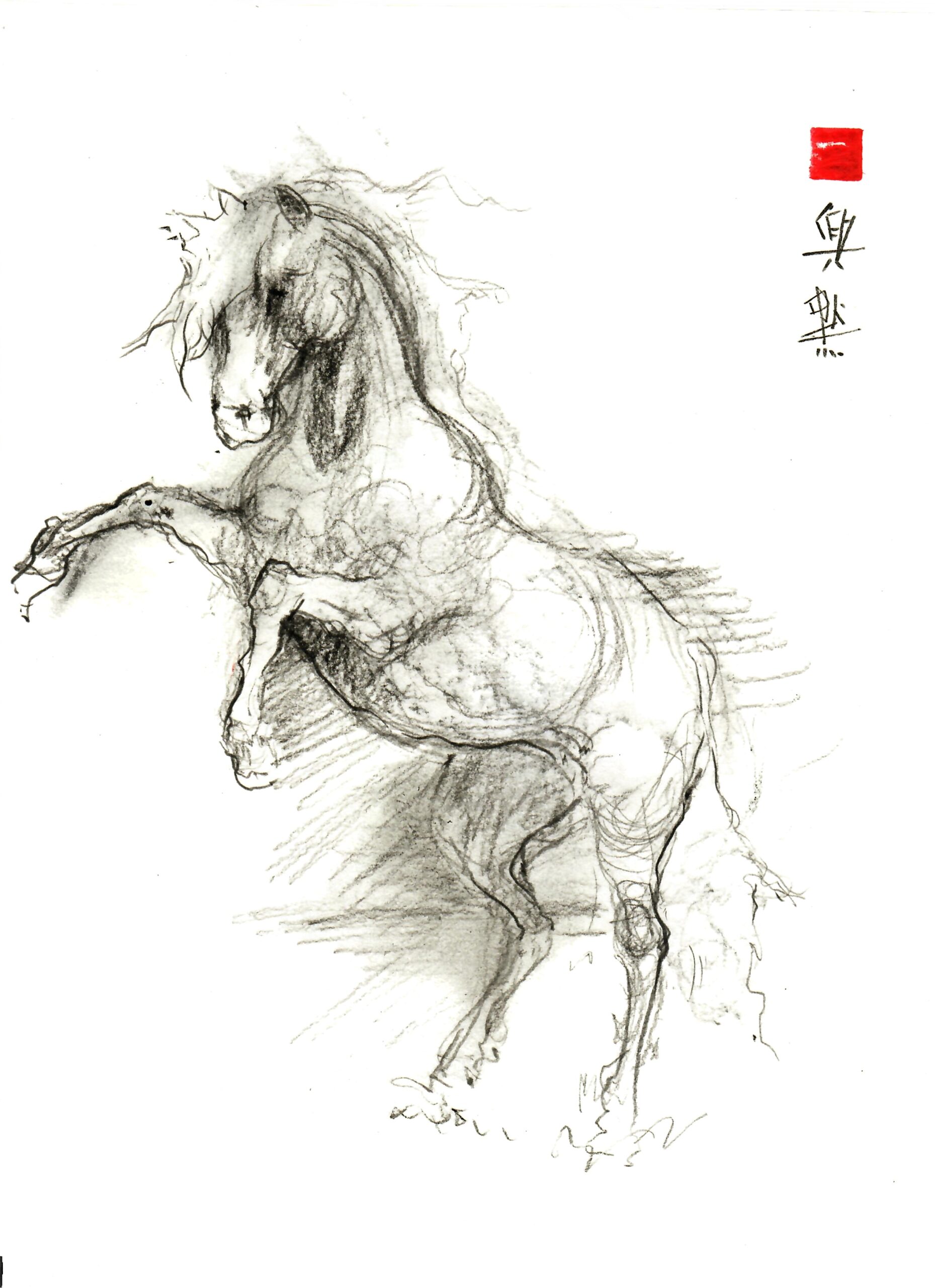 Sketch of a wild horse running 001 9IN x 12IN 300GSM