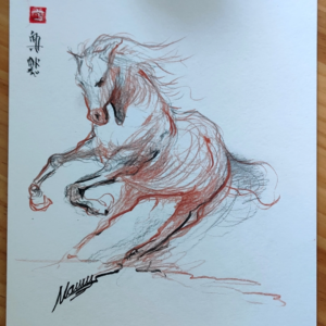 Sketch of a wild horse running 9IN x 12IN 300GSM