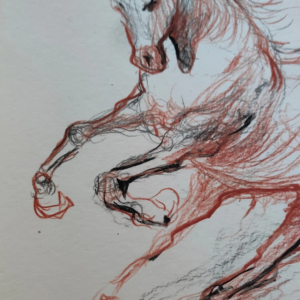 Sketch of a wild horse running 9IN x 12IN 300GSM