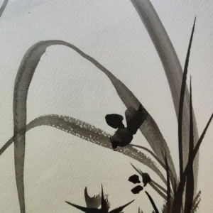 SUMI-E Painting of a wild orchid . Detail.