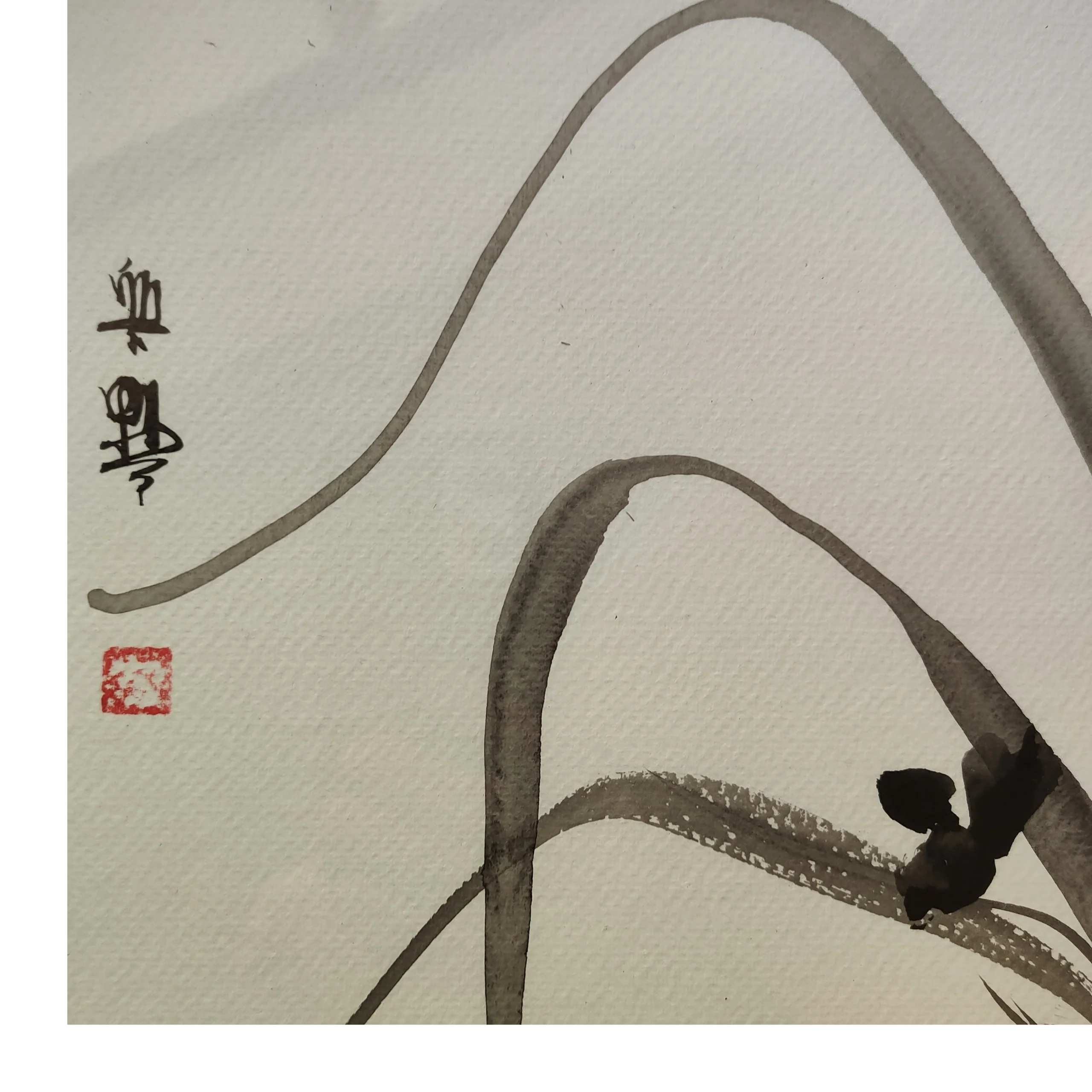 SUMI-E Painting of a wild orchid . Detail.