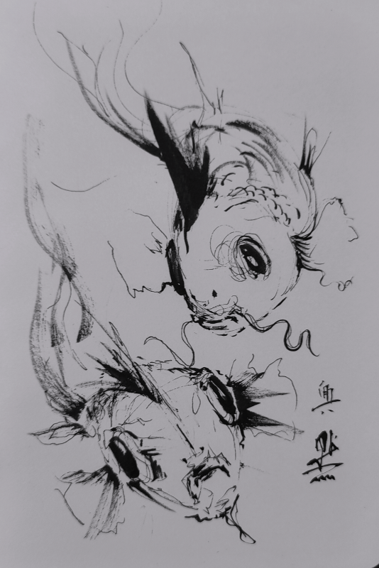 Loose ink sketch of two koi Fish in black ink.